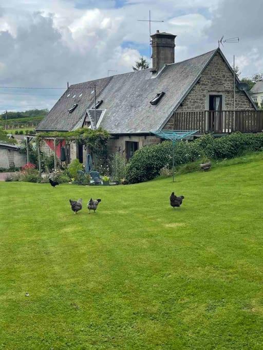 Le Petit Fleur - The Little Flower, Cosy Cottage Saint-Michel-de-Montjoie Extérieur photo